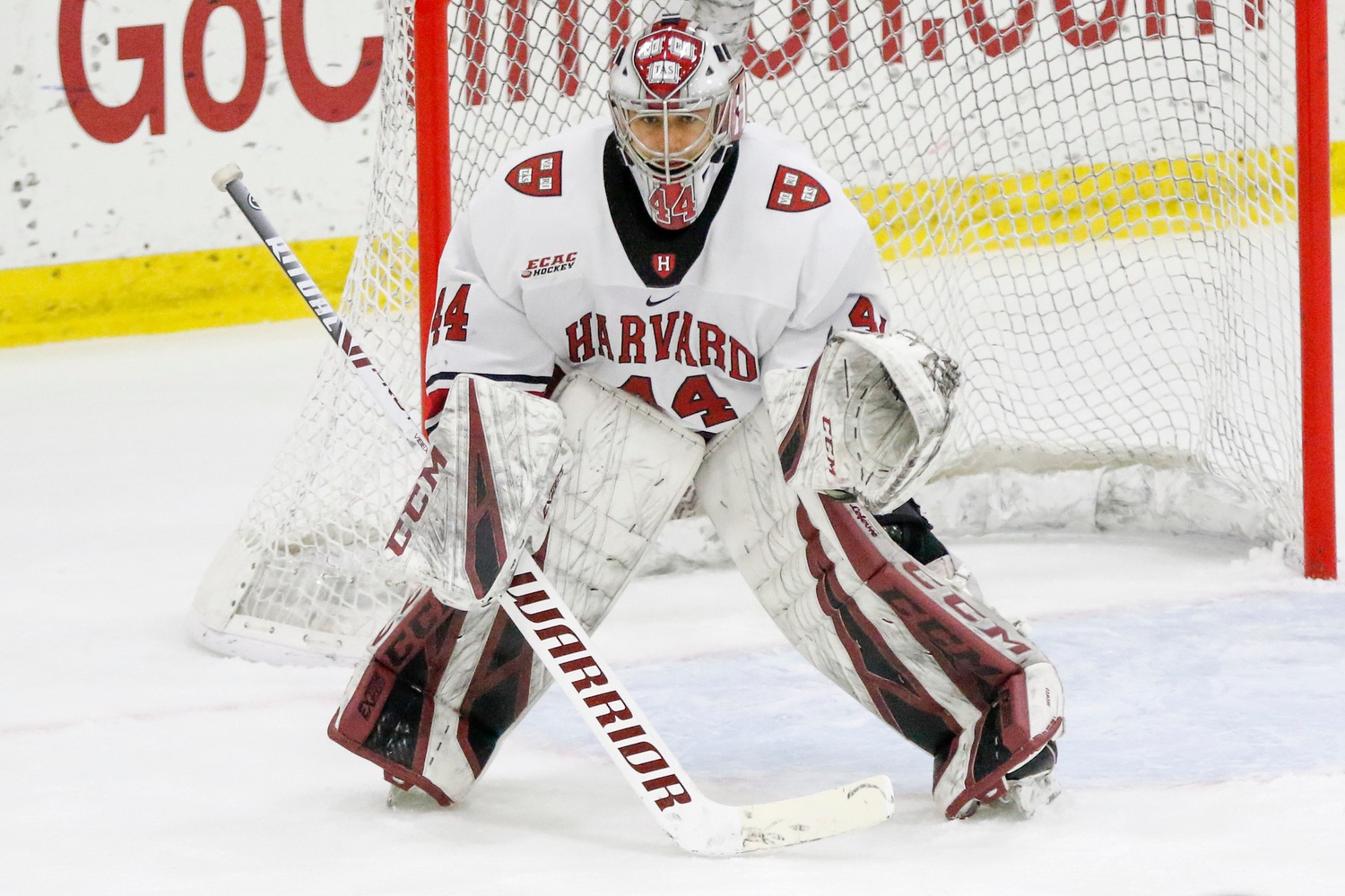 Rookie goaltender Mitchell Gibson posted 33 saves on Friday, including two breakaway stops in the first period.