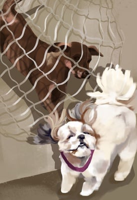 Cover image for Puppy Love