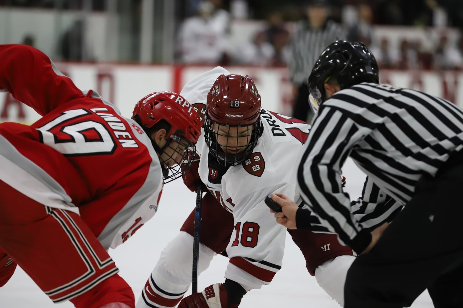 The Crimson squared off against the Engineers with its destiny at its finger tips on Friday. Alas, Harvard now relies on Dartmouth to take at least a point from RPI on Saturday in order for it to lock up a top-four ECAC finish.