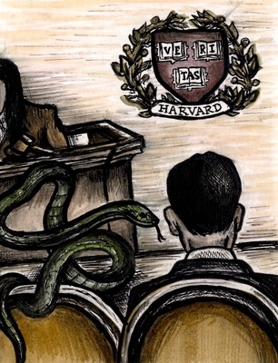 Cover image for Playing Devil's Advocate