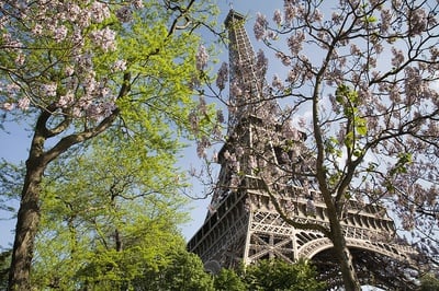 Cover image for 'Spring Arts Playlist' Image