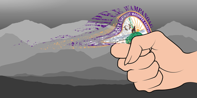 Cover image for Mashpee Scrutiny Banner
