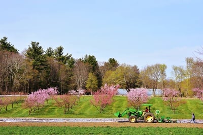 Cover image for Langwater Tractor