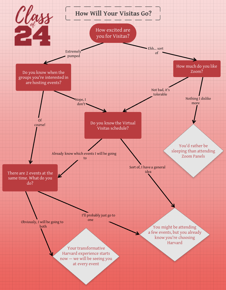 flowchart virtual visitas main image