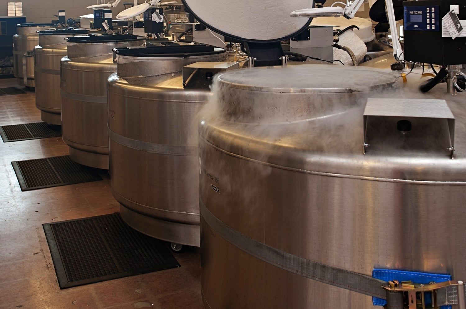 California Cryobank, a sperm bank founded in 1977, has registered 75,000 births since its inception, making it one of the world’s largest reproduction agencies.