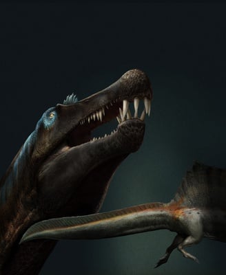 Cover image for Researchers Discover First Known Swimming Dinosaur