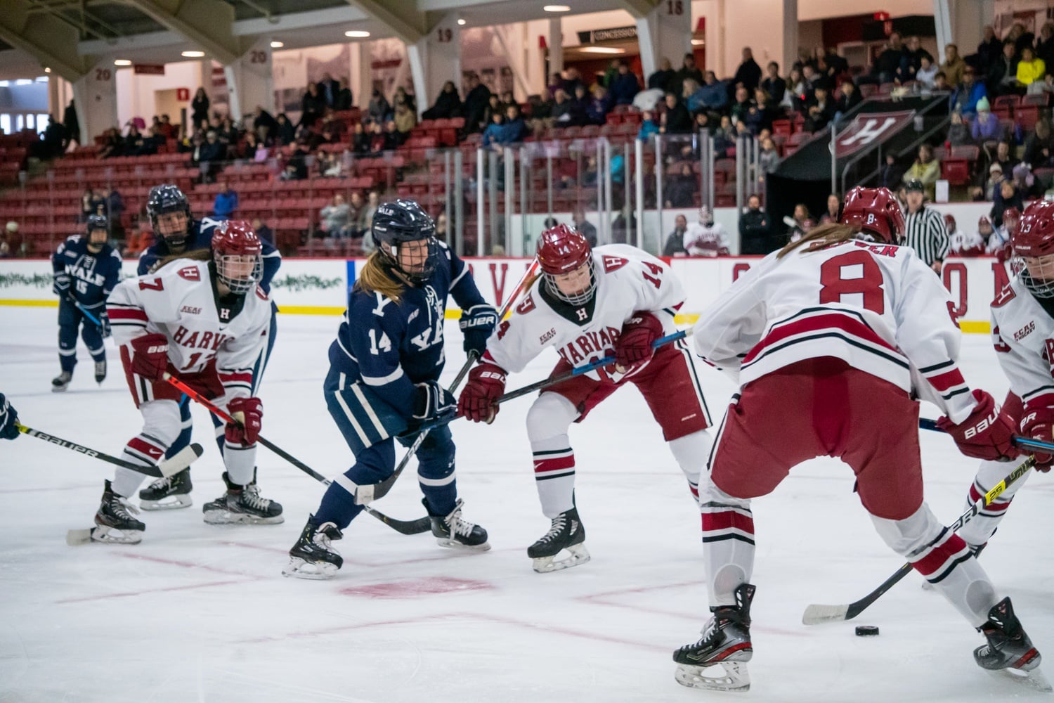 The Harvard women's ice hockey team competed in the historic Beanpot tournament, posting mixed results.