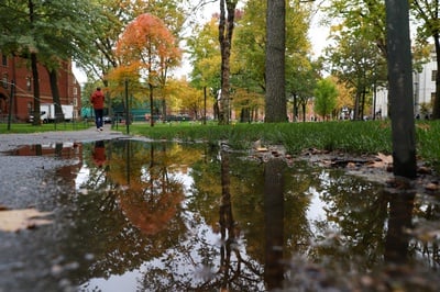 Cover image for Students Don Traditional Palestinian Scarves in Support of Palestine