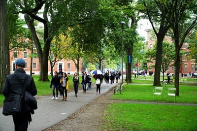 Cover image for Harvard College Social Prescribing Group Launches National Campaign