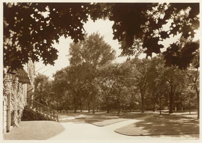 Cover image for Harvard Yard in 1900s
