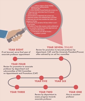 Cover image for Tenure Flowchart