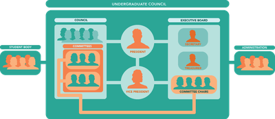Cover image for After Going Viral, Undergraduate Council Leaders Struggle to Find Footing