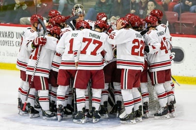 Cover image for Men's Hockey 2019-2020 Season Recap