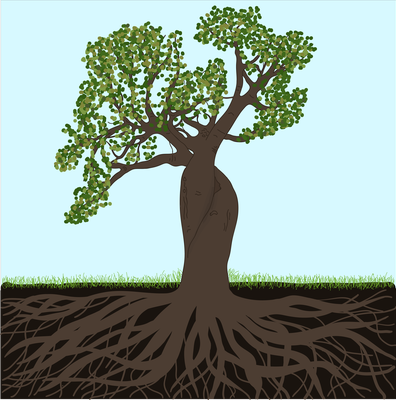 Cover image for GAASA Design