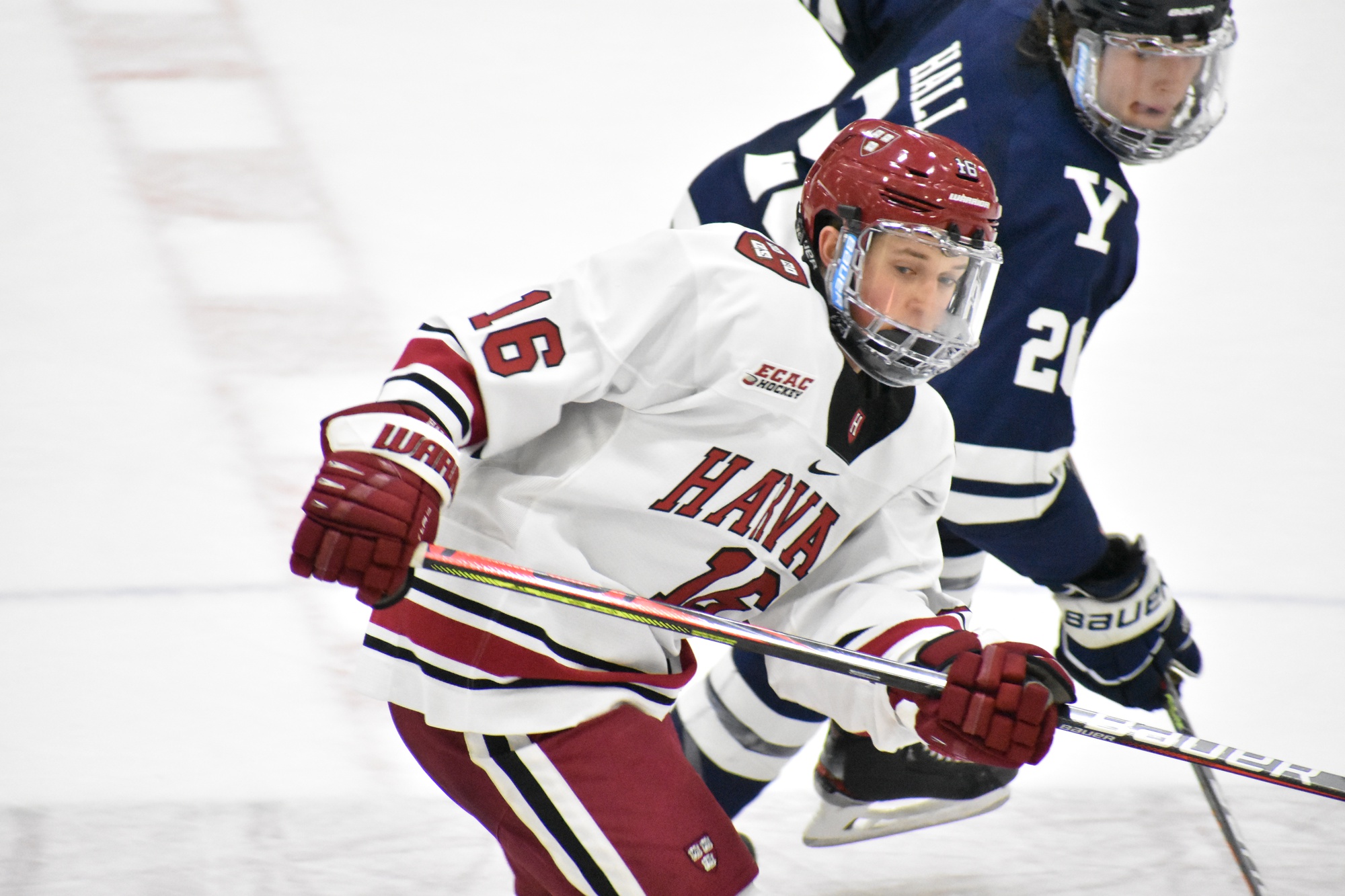 First-year forward Nick Abruzzese contributed two goals on three occasions in his rookie campaign, including in a rivalry game against Yale on home ice.