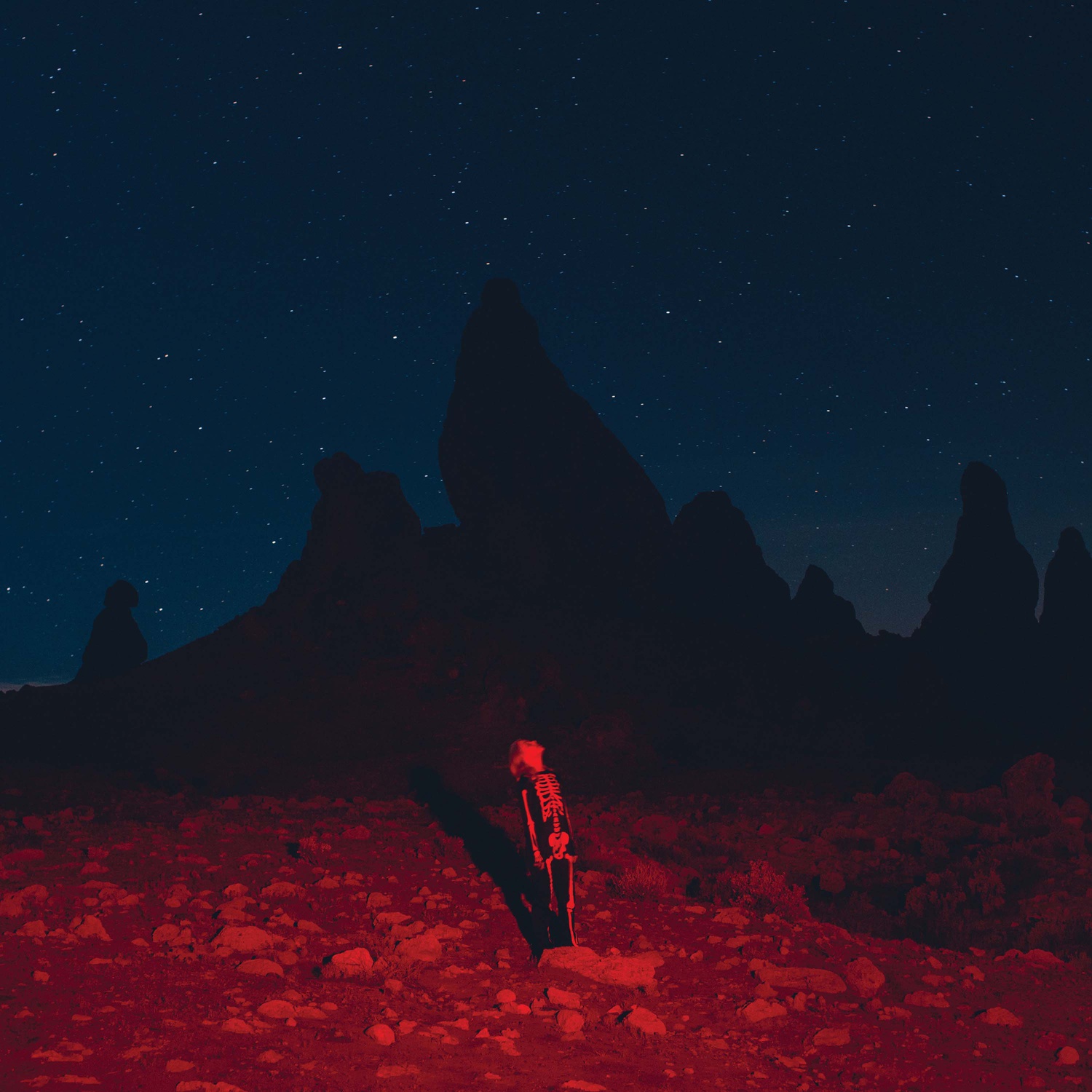 Album art for Phoebe Bridgers's "Punisher."