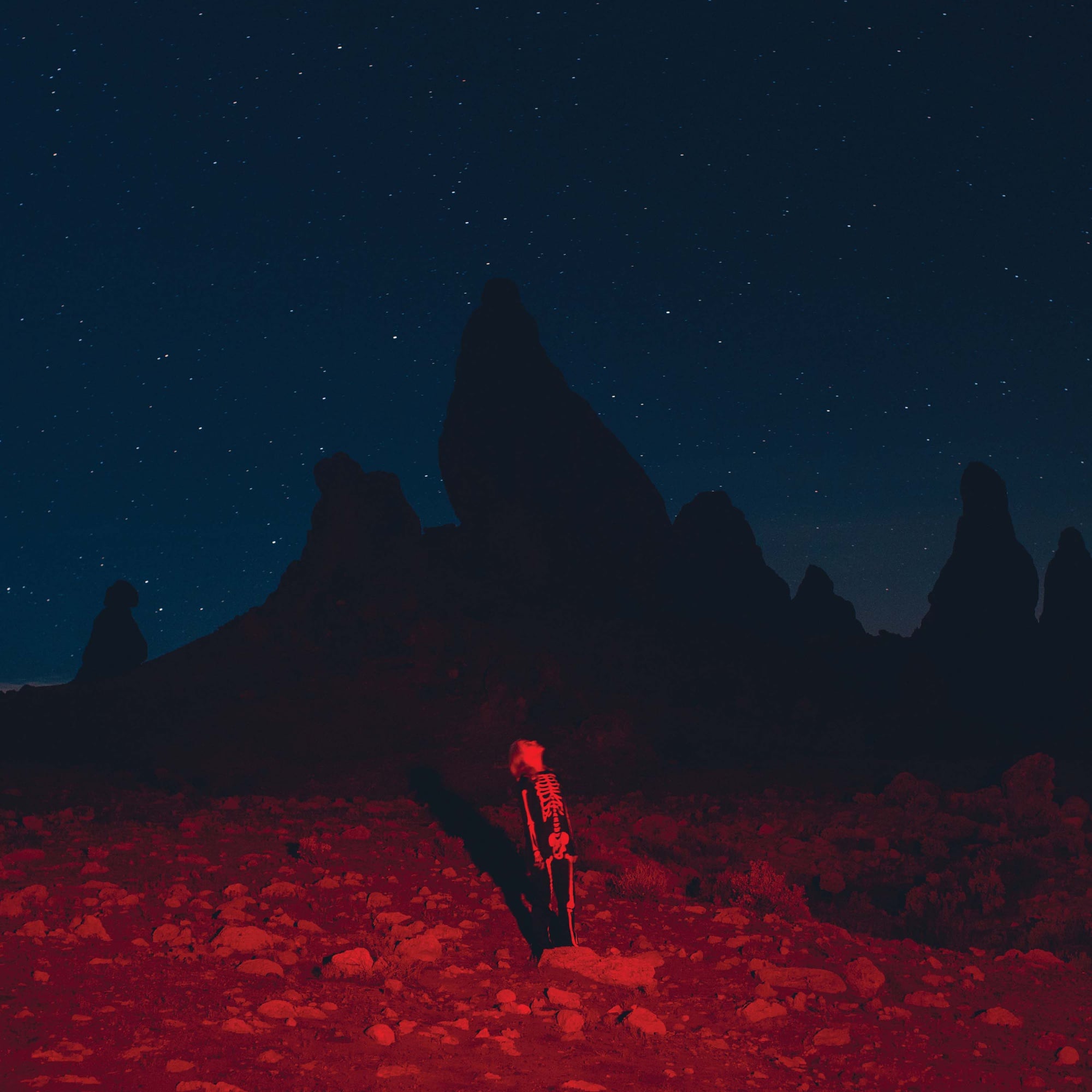 Album art for Phoebe Bridgers's "Punisher."