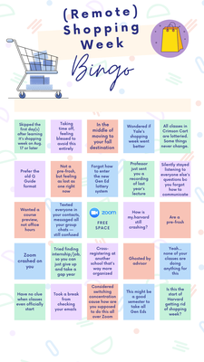 Cover image for Virtual Shopping Week Bingo