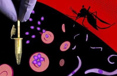 Cover image for Wyss Malaria Test