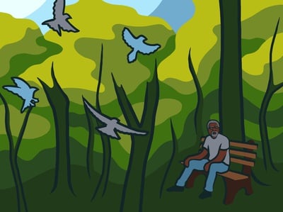 Cover image for The View Through Christian Cooper's Binoculars