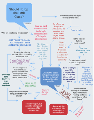 Cover image for Fifth Class Flowchart