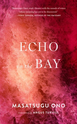 Cover image for "Echo on the Bay" cover art