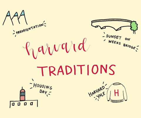 Cover image for Dear Freshmen: Virtual Traditions