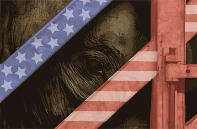 Cover image for Into the Elephant's Den
