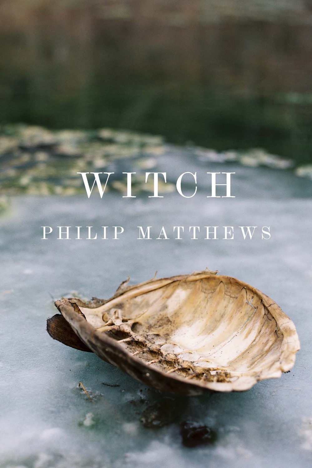 ‘Witch’: A Collection of Poetry Too Cryptic to Be of Any Use | Arts ...
