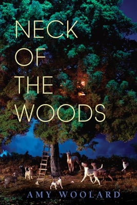 Cover image for ‘Neck of the Woods’ Marks Poet Amy Woolard’s Debut