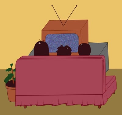 Cover image for On the Eve of Election Day, Harvard Students Report Anxiety and Anticipation