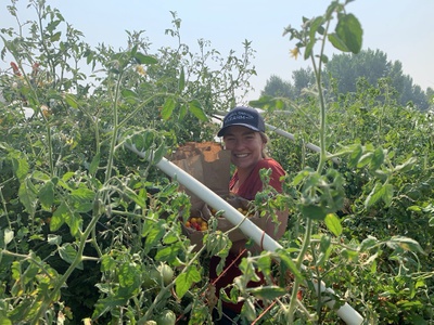 Cover image for Water-to-Farm-to-Table