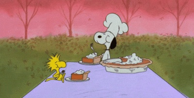 Cover image for Flyby’s Guide to Thanksgiving