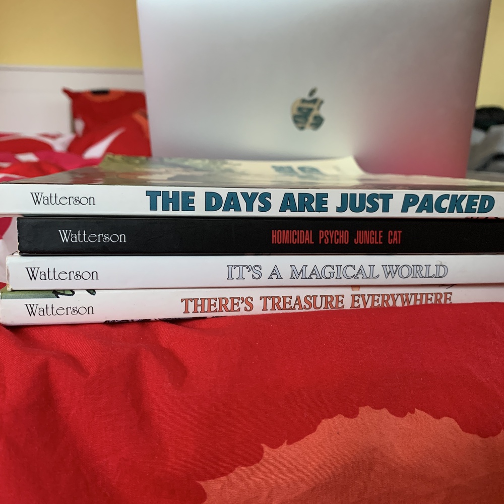 A sampling of "Calvin and Hobbes" anthologies