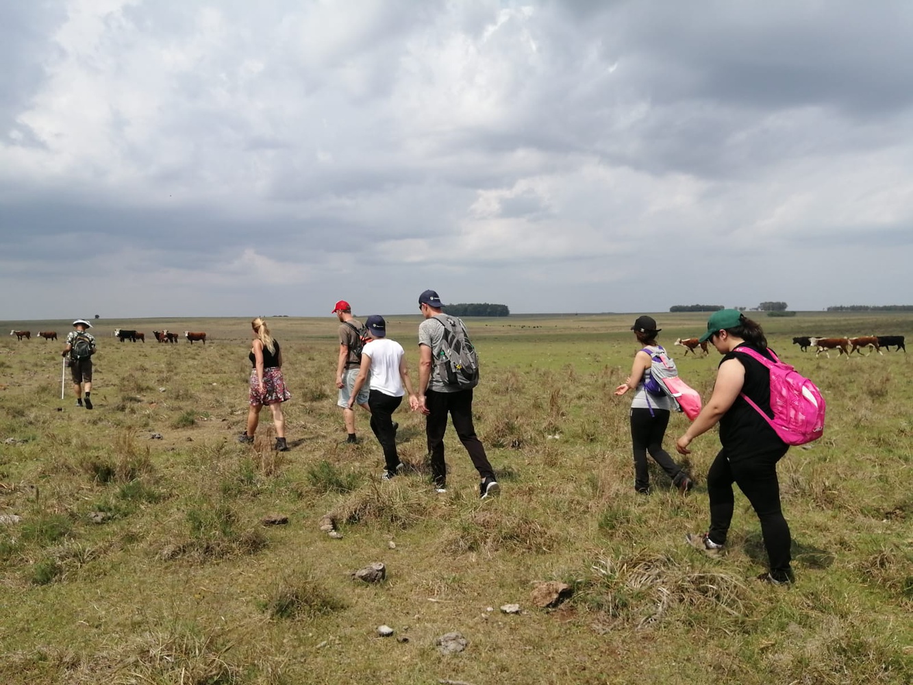 Uruguay has 12 million cows and three million people, which is “very noticeable,” Saavedra says.