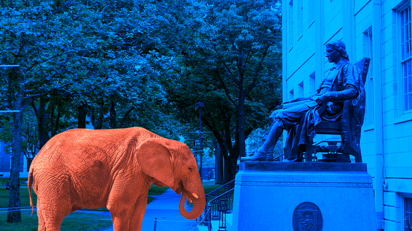Cover image for Conservatives on Campus Attempt to Find Their Footing As Trump Presidency Ends