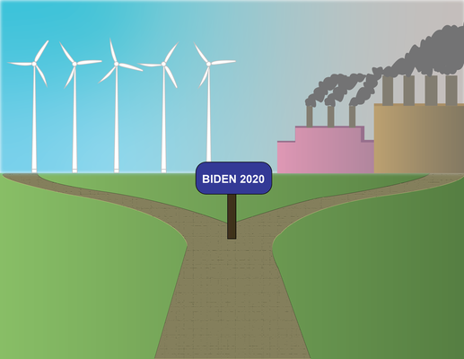 Cover image for Can a Biden White House Move Harvard Toward Divestment?