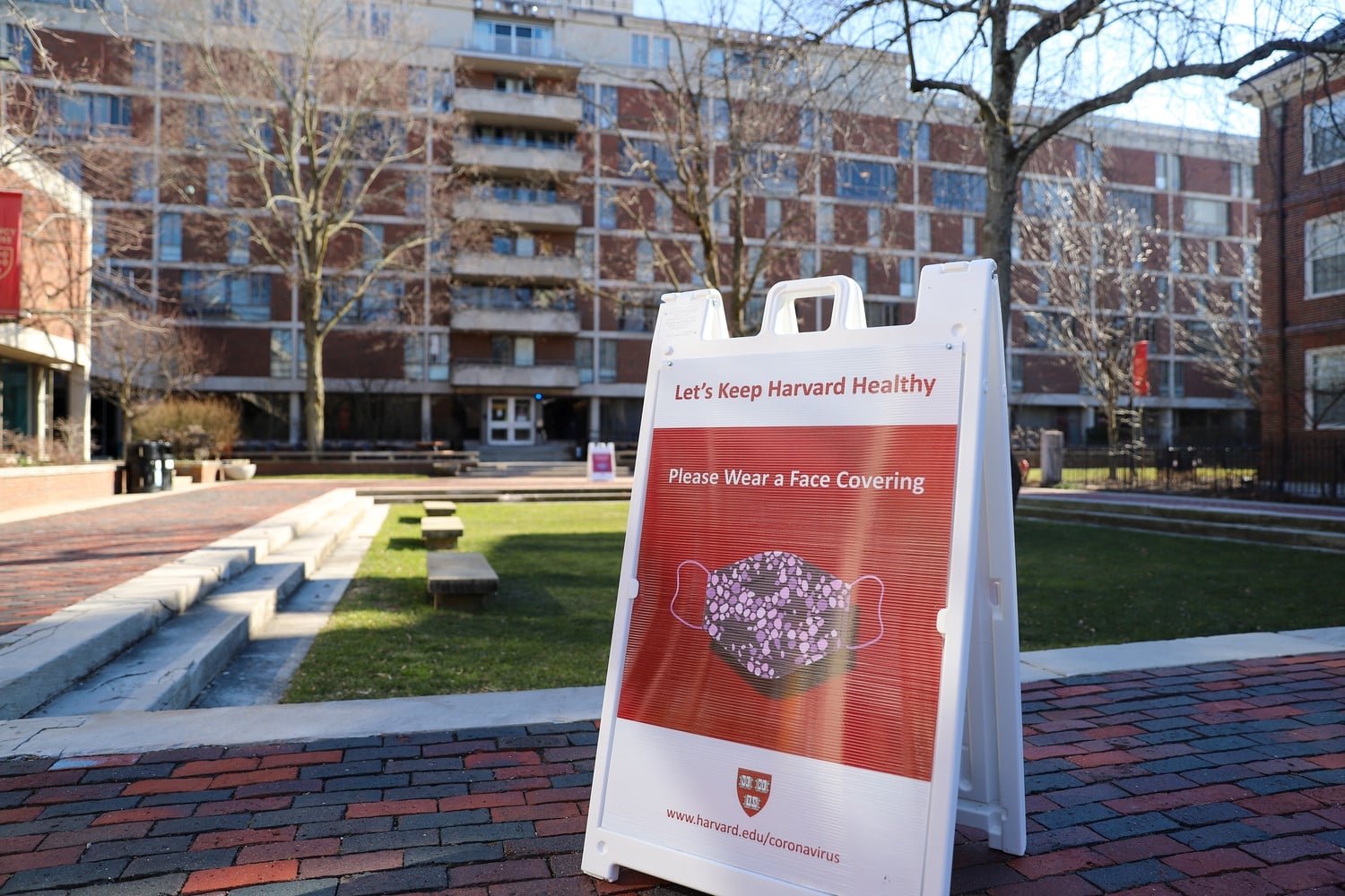 Undergraduate Council President Michael Y. Cheng '22 lives in Quincy House.