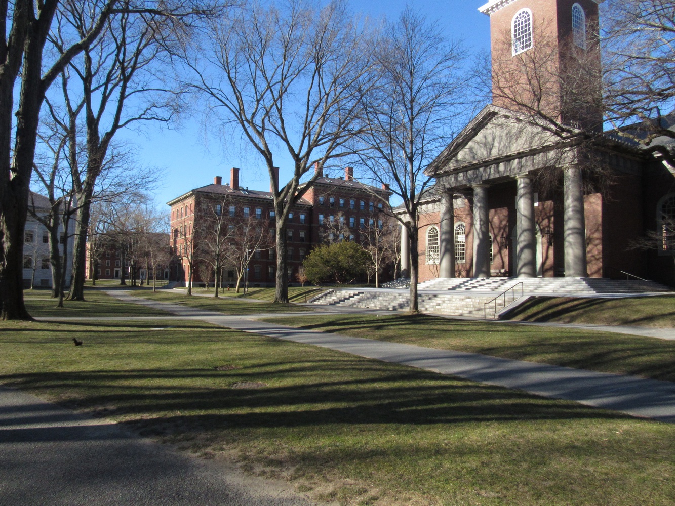 Tercentenary Theatre, usually bustling with activity on the first day of classes, was relatively empty when classes began for the 2021 spring semester.