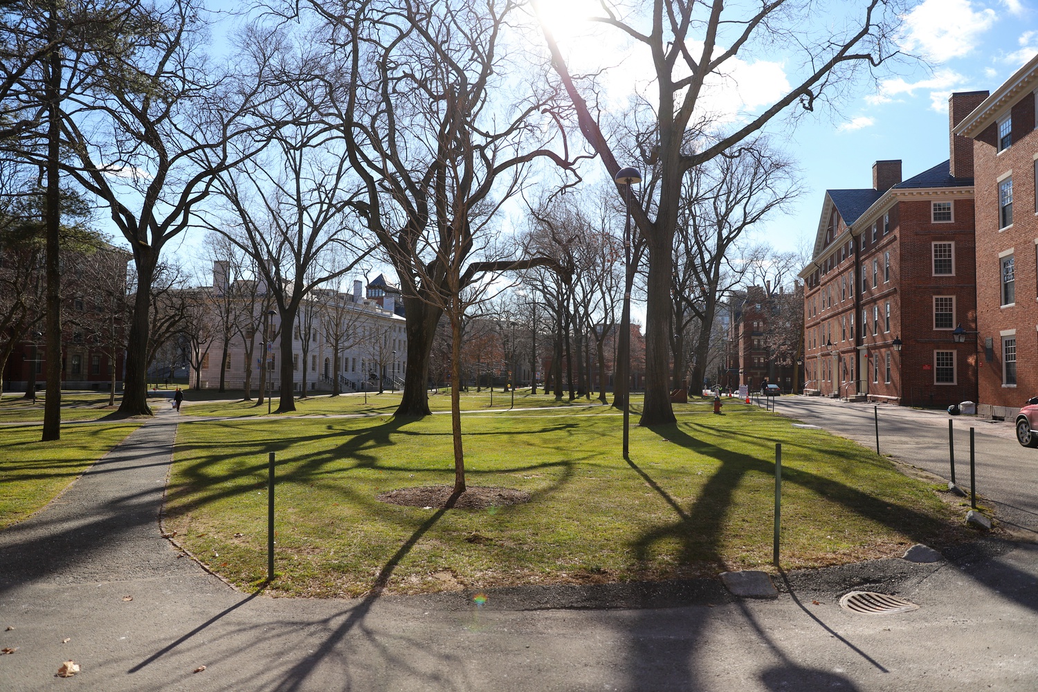 Harvard Yard sits largely empty early in the fully remote spring 2021 semester. A strong majority of surveyed faculty felt remote learning is not as valuable to students as in-person instruction.