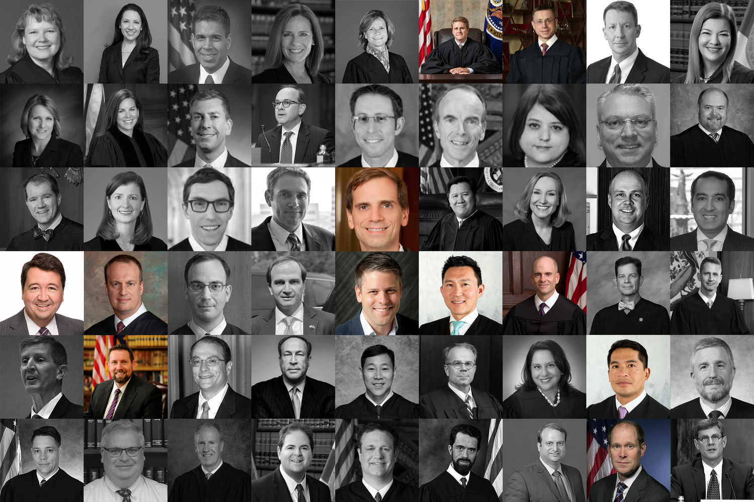 Donald Trump appointed 30 percent of the U.S. Court of Appeals, and of those eleven — more than one-fifth of Trump's nominees — attended HLS. All 11 have ties to the Federalist Society.