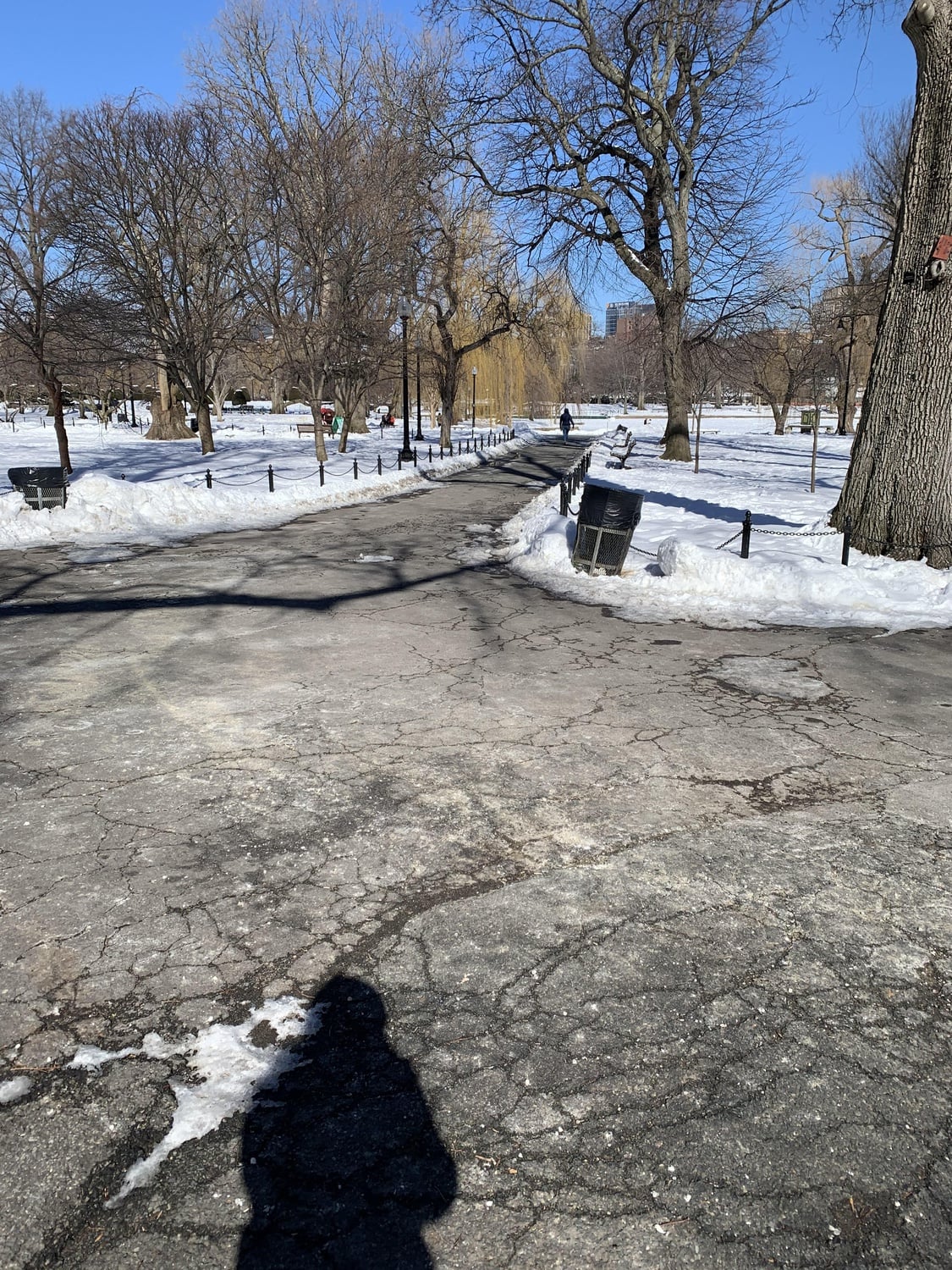 Maliya V. Ellis casts a shadow on the pavement while experiencing a Walking Play. The Walking Plays are a product of the Lyric Stage Company of Boston.