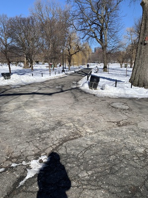 Cover image for Walking Play Shadow