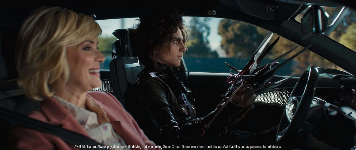 Timothée Chalamet as Edgar Scissorhands.