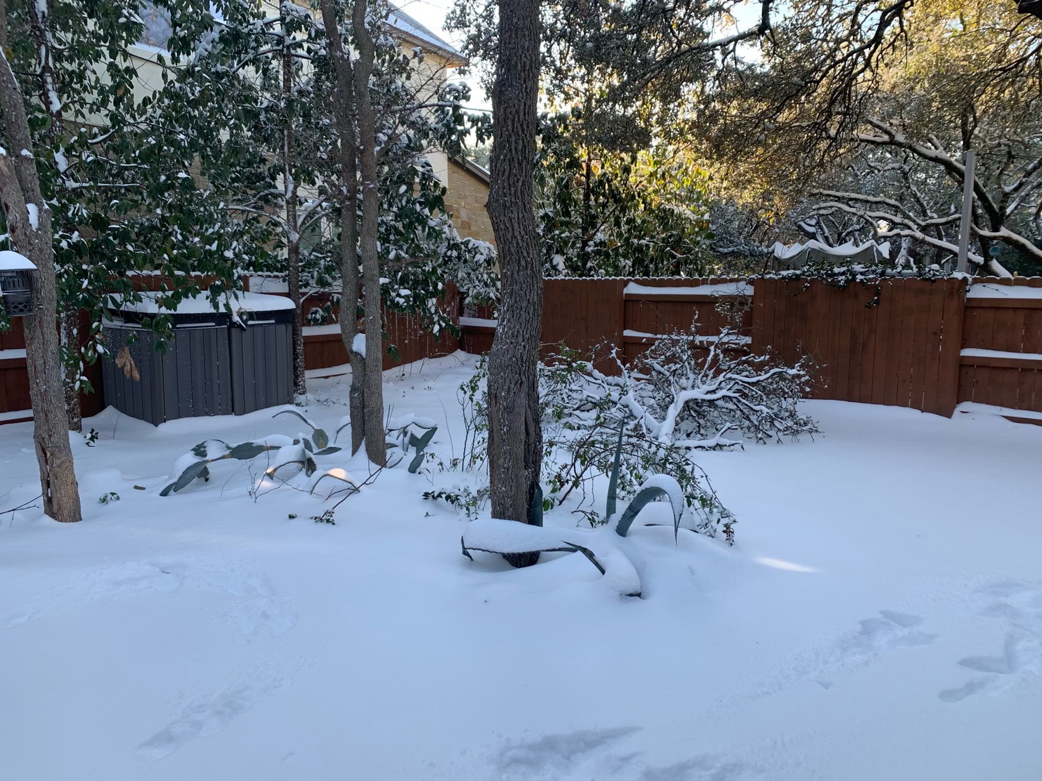 Harvard students living in Texas have had to contend with snow, ice, and major power outages this week due to an unprecedented winter storm.