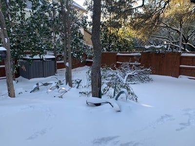 Cover image for ‘It’s Not Getting Any Better’: Undergrads in Texas Contend with Snow, Power Outages