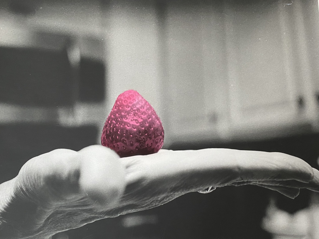 A strawberry, painted onto a photo of my mother’s hand