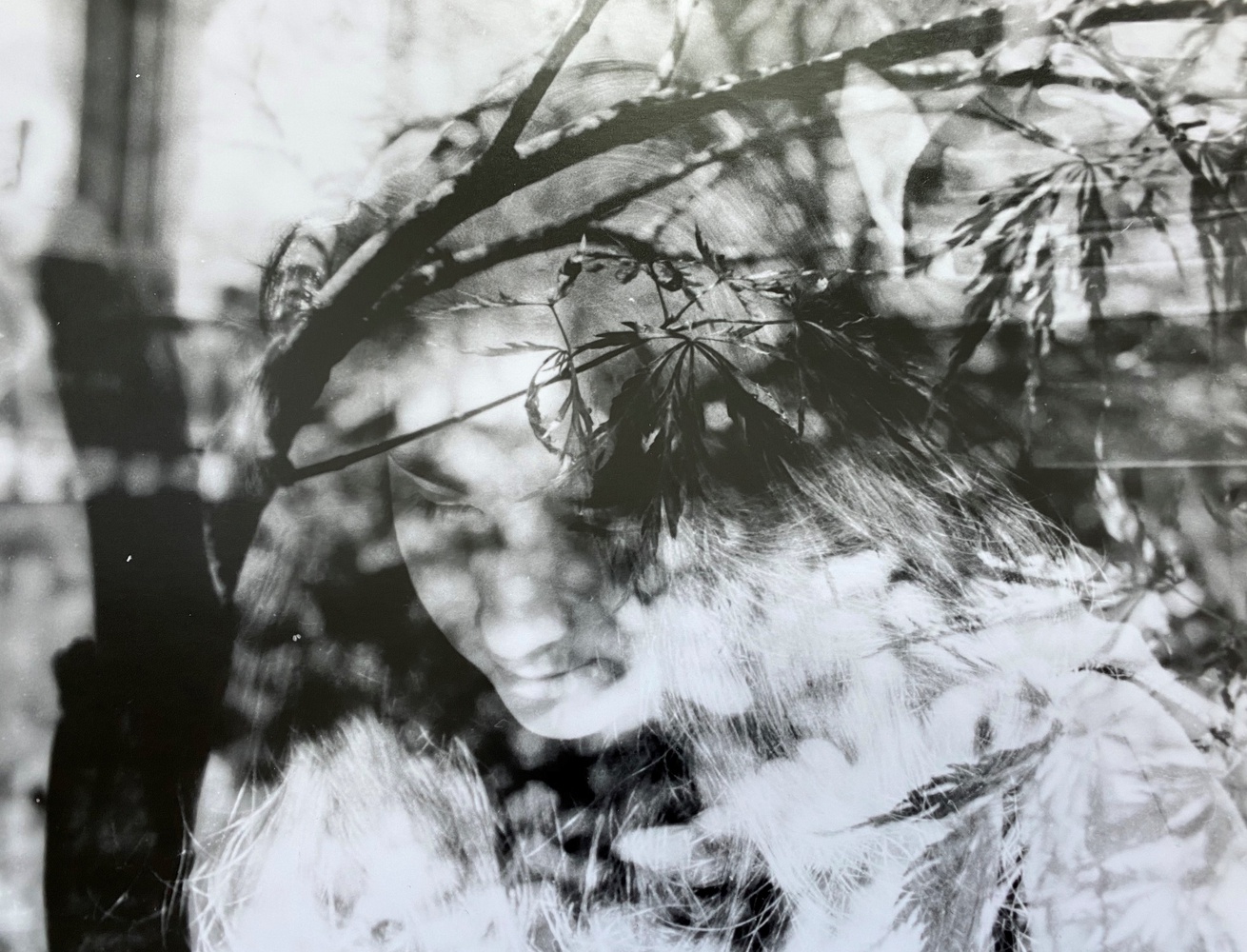 Digital scan of a black and white film print, created by layering two film negatives. Photos taken with 35mm, 400 ISO film. Imagining the diffusion of the self in nature.