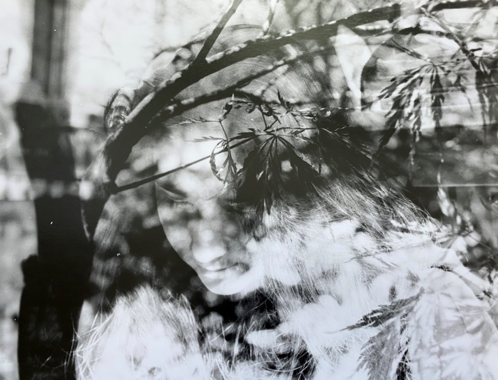 Digital scan of a black and white film print, created by layering two film negatives. Photos taken with 35mm, 400 ISO film. Imagining the diffusion of the self in nature.