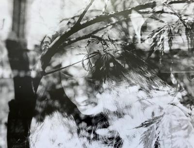 Cover image for In the Forest